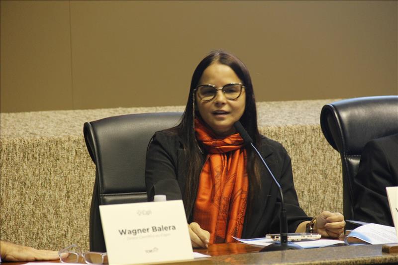 A professora do Centro Universitário Curitiba, Viviane Séllos-Knoerr